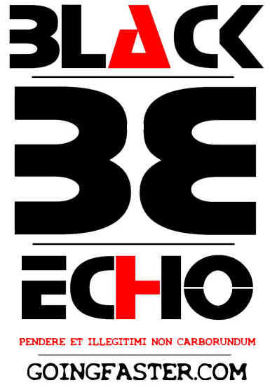 besigbacklogo.jpg (23562 bytes)