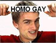 homogay2.jpg (6629 bytes)