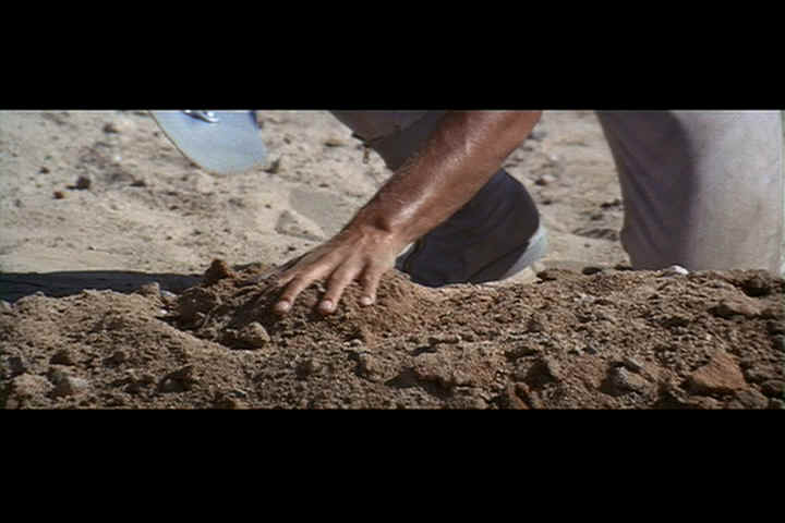 burying skipper1.jpg (31789 bytes)