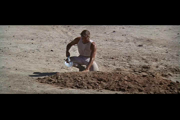 burying skipper2.jpg (32915 bytes)