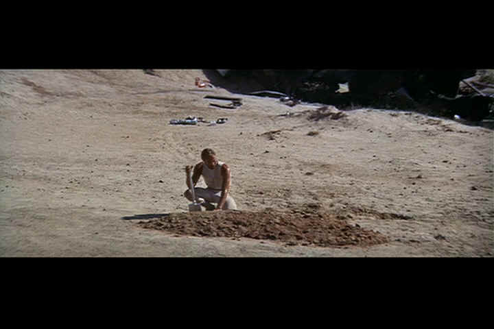 burying skipper3.jpg (29387 bytes)