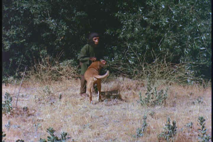 farrests30.jpg (43762 bytes)