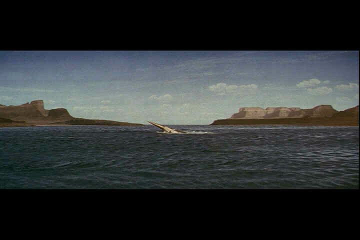 sinking4.jpg (21994 bytes)