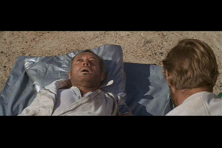 skipper1.jpg (27456 bytes)